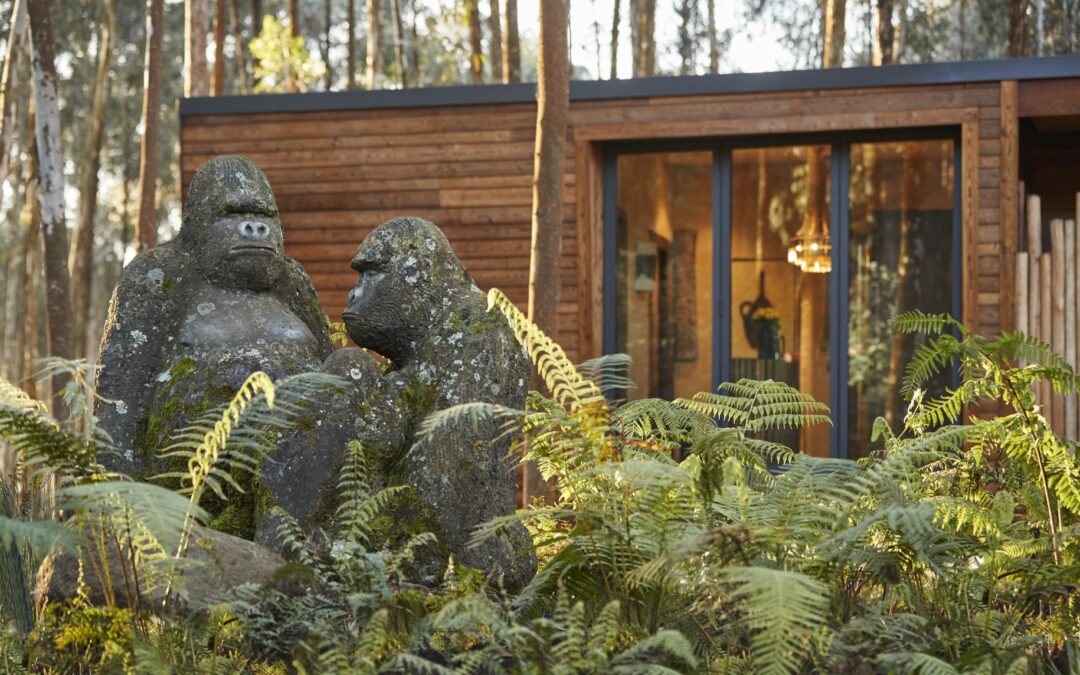One&Only Gorilla's Nest Lodge Rwanda